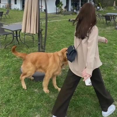 终极特警第一季